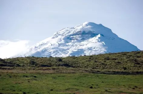 Le volcan Cotopaxi depuis l'hacienda Porvenir - Equateur