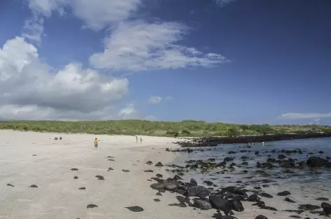 Archipel des Galapagos, la plage Loberia (île San Cristobal) - Equateur