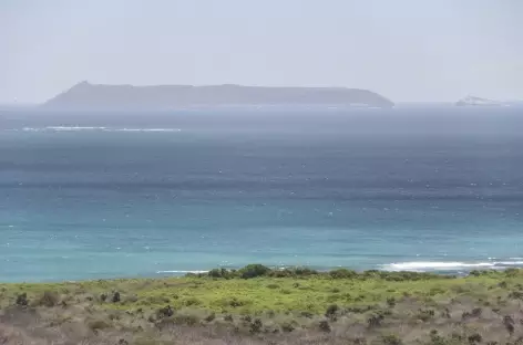 Archipel des Galapagos, l'île Tortuga au large d'Isabela (île Isabela) - Equateur