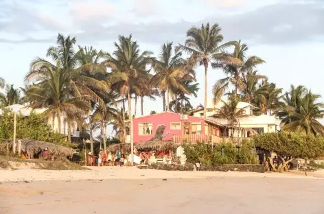 Sur les plages d'Isabela - Equateur