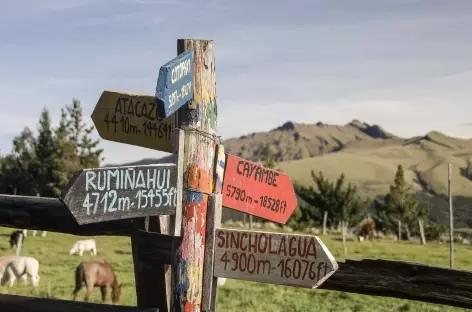 Le volcan Pasochoa depuis l'hacienda El Porvenir - Equateur