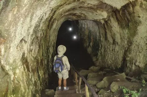 Archipel des Galapagos, balade dans un tunnel de lave (île Santa Cruz) - Equateur