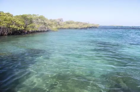 Archipel des Galapagos, le site Concha y Perla (île Isabela) - Equateur