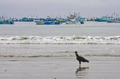 Puerto Lopez sur la côte Pacifique - Equateur