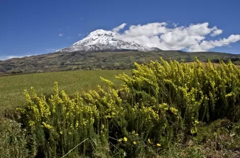 Le Chimborazo - Equateur