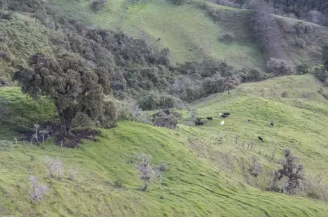 Paysage à Yunguilla - Equateur