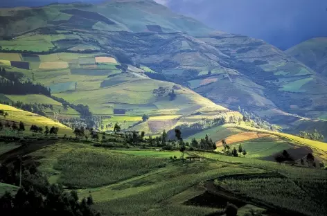 Campagne équatorienne - Equateur