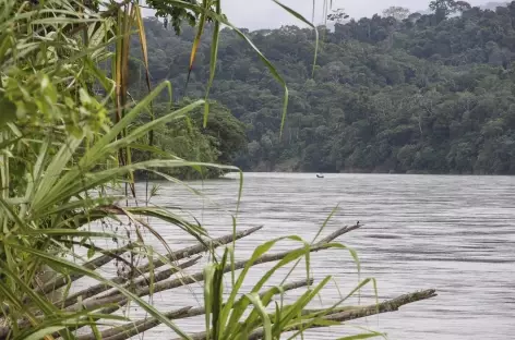 Ambiance en Amazonie - Equateur