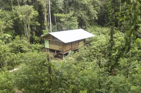 Notre lodge en Amazonie - Equateur