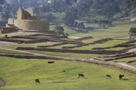 Le site Inca d'Ingapirca - Equateur