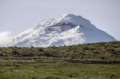 Le Cotopaxi depuis l'hacienda El Porvenir - Equateur