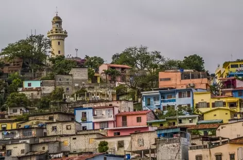 Balade à Guayaquil - Equateur