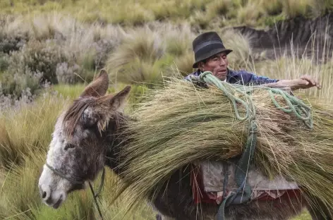 Rencontre avec Baltazar Ushca, le dernier chercheur de glace du Chimborazo - Equateur