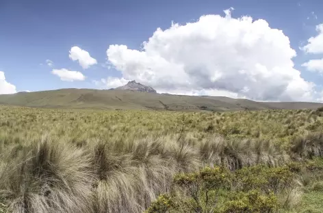 Vue sur le Sincholagua depuis Pedregal - Equateur