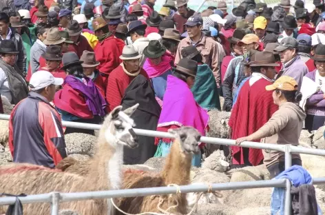 Sur le marché de Guamote - Equateur - 