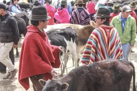 Sur le marché de Guamote - Equateur