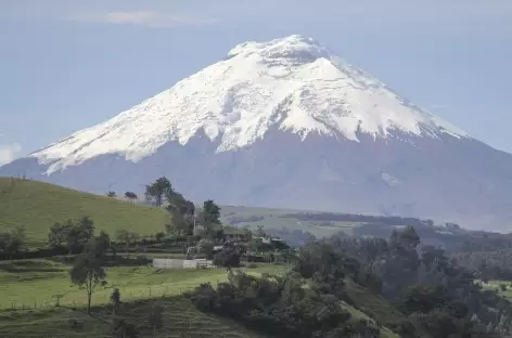 Vue sur le Cotopaxi en chemin vers le rio Pita - Equateur