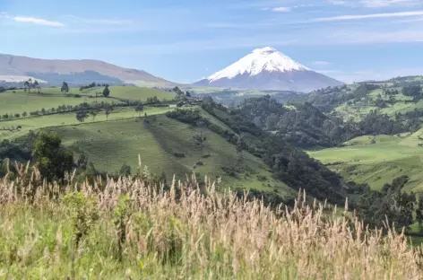 Vue sur le Cotopaxi depuis Rumipamba - Equateur