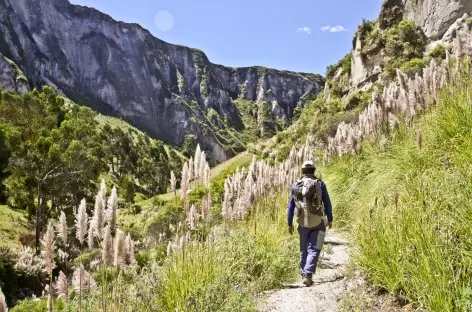 Dans le canyon de Toachi - Equateur