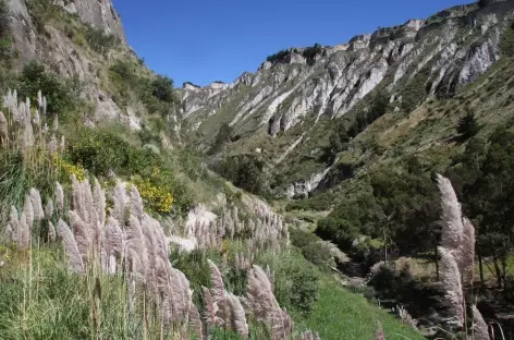 Au fond du canyon du rio Toachi - Equateur