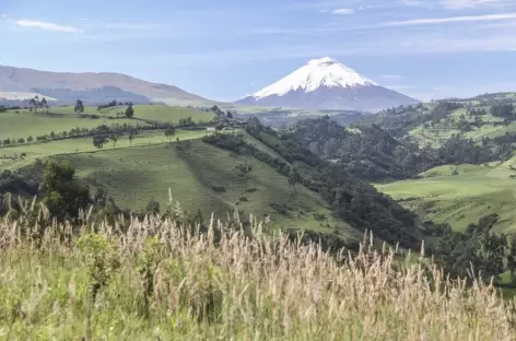 Le Cotopaxi depuis Rumipamba - Equateur