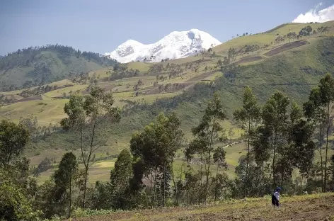 Au loin le Cayembe - Equateur