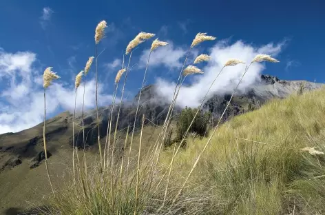 Au cours de l'ascension de l'Imbabura - Equateur