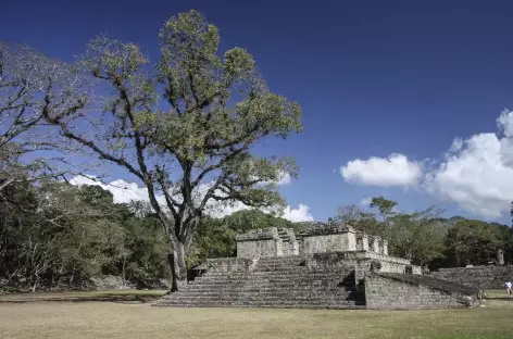 Sur le site Maya de Copan - Honduras