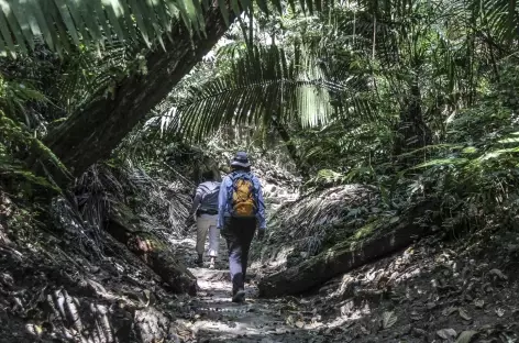 Balade sur un site Maya - Guatemala