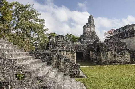 Site Maya de Tikal - Guatemala