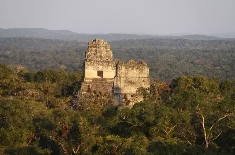 Site Maya de Tikal - Guatemala