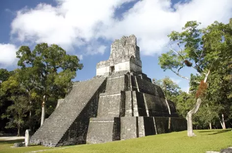 Site Maya de Tikal - Guatemala