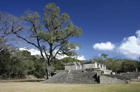 Sur le site Maya de Copan - Guatemala