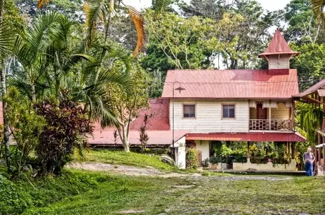 Arrivée dans la plantation de café - Guatemala