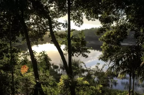 Belle lumière sur le rio de la Passion - Guatemala