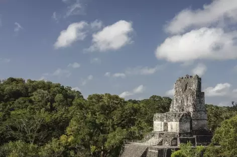 Sur le site Maya de Tikal - Guatemala