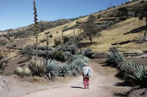 Trek dans les Cuchumatanes - Guatemala