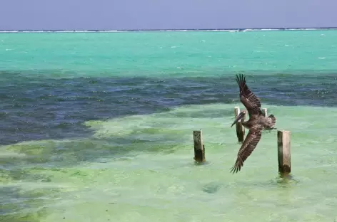 Plein cadre sur le lac Petén Itza près de Flores - Guatemala - 