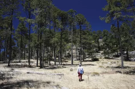 Début du trek dans les Cuchumatanes et montée vers la Torre - Guatemala