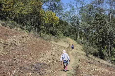 Au cours du trek dans les Cuchumatanes - Guatemala