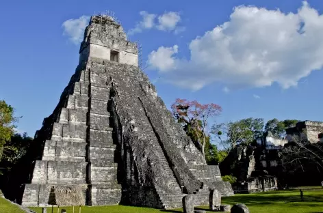 Site maya de Tikal - Guatemala - 