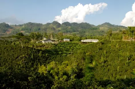 Paysage de l'Alta Verapaz - Guatemala