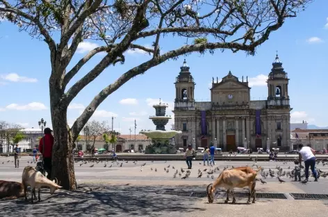Guatemala City - Guatemala