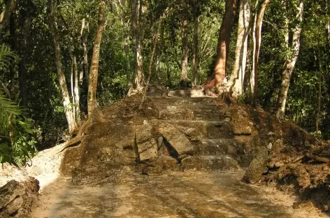 Site maya El Mirador - Guatemala