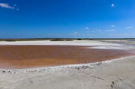 Rio Lagartos