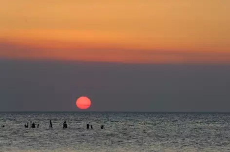 Holbox