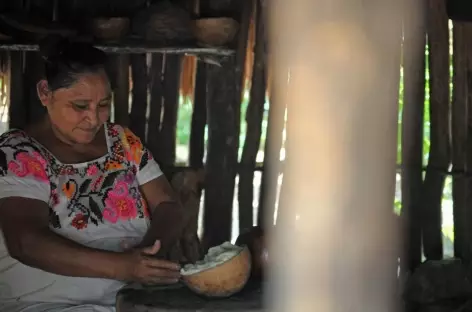 Immersion Maya vers Akumal - Mexique - 