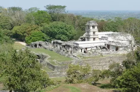 Site Maya de Palenque, le Palais - Mexique