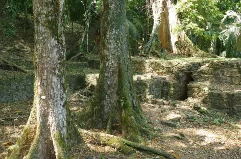 Site Maya de Palenque - Mexique