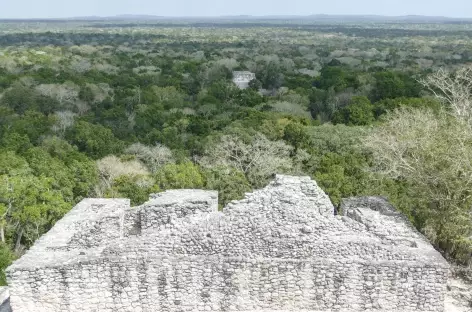 Site Maya de Calakmul - Mexique